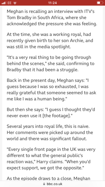Harry, Meghan and Netflix too