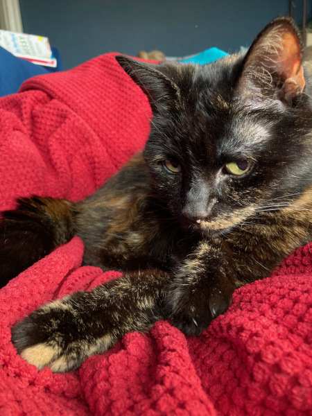 Thread 1 - Lifeboat Muster Point for TalkExiles