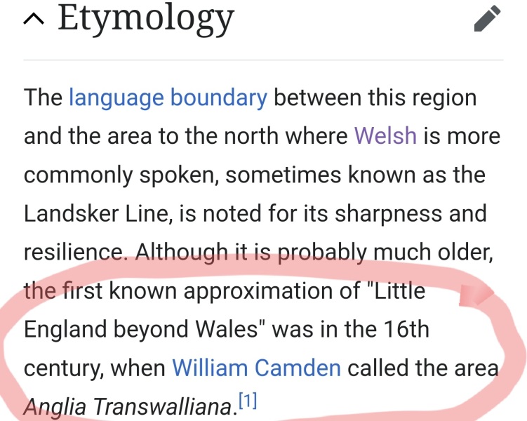 I don't like Welsh people