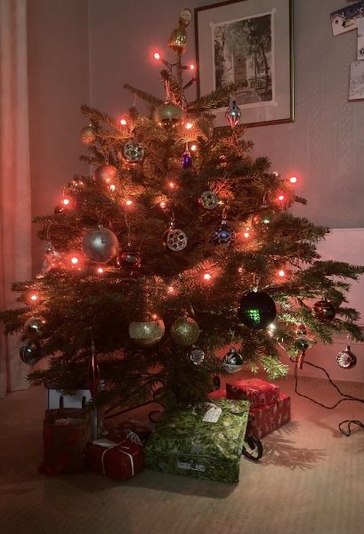 The Christmas Chronicles by Nigel Slater. Read Along Thread 2022 PART 2