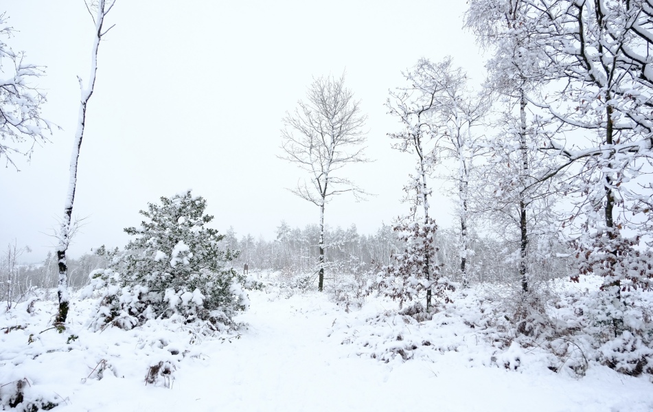 Hands up who's got snow, location and pictures please