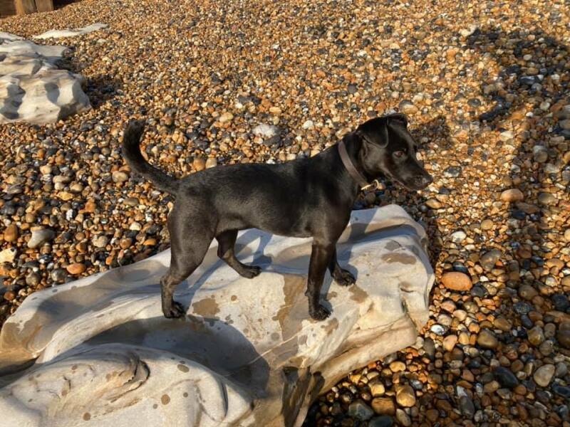 Lifeboat Muster Point for TalkExiles - Thread 2