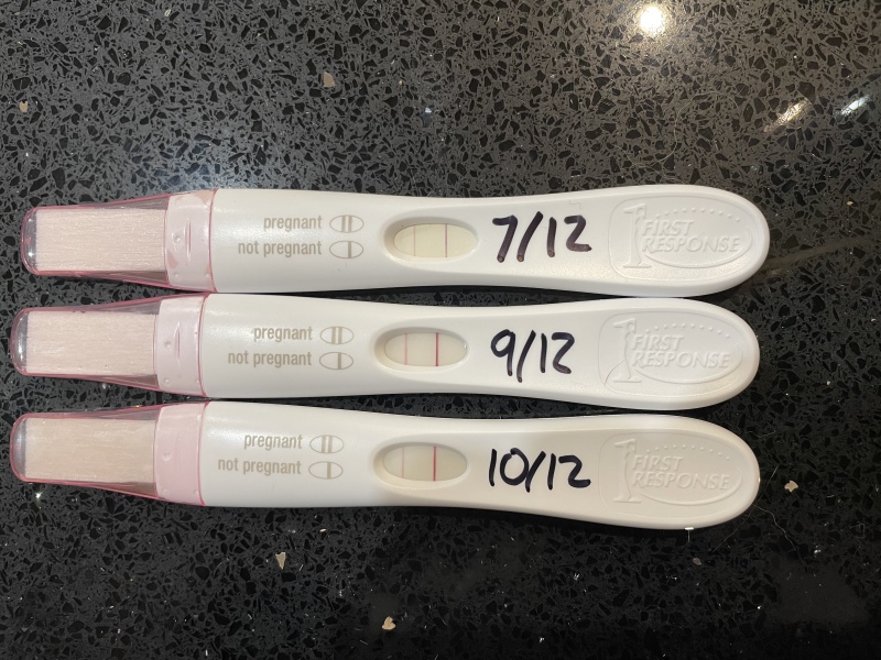 Due August 2023 (Thread 2)