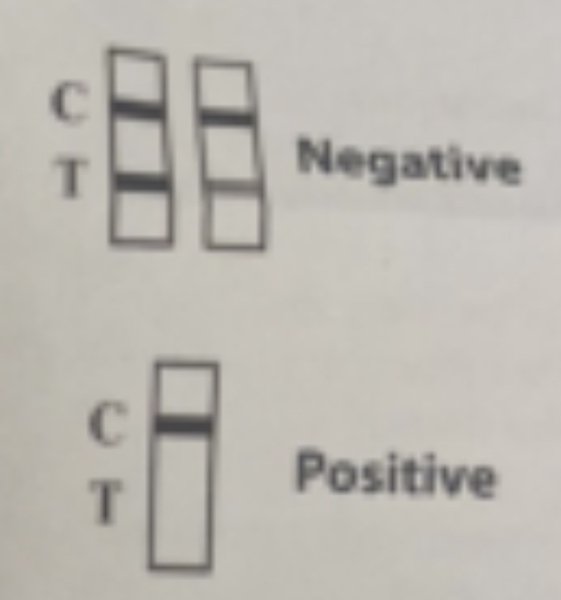 How would would you read this drugs test?