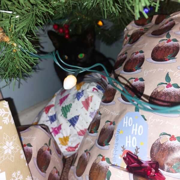 Show me your present pile