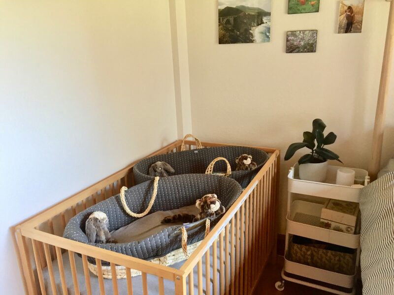 Newborn Twins 