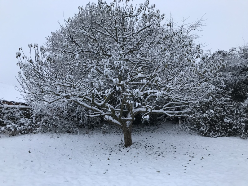 Come and tell me your dull and unexciting news 24: Calmly through the day 