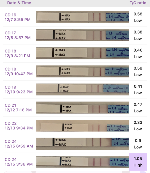 BFP or indent?