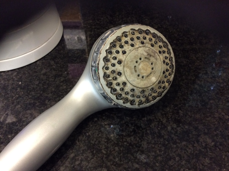 What did you find when you moved house that you would rather not have found?