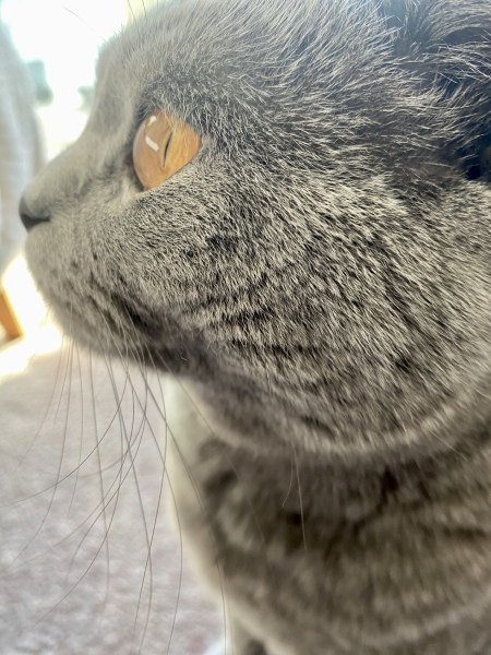 Lifeboat Muster Point for TalkExiles - Thread 2