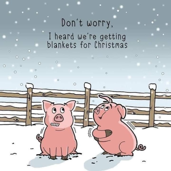 How many pigs in blankets pp