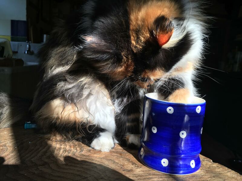 Thread 3 - TalkExiles: "The Planet Goes On Being Round"