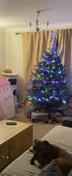 Show me your present pile