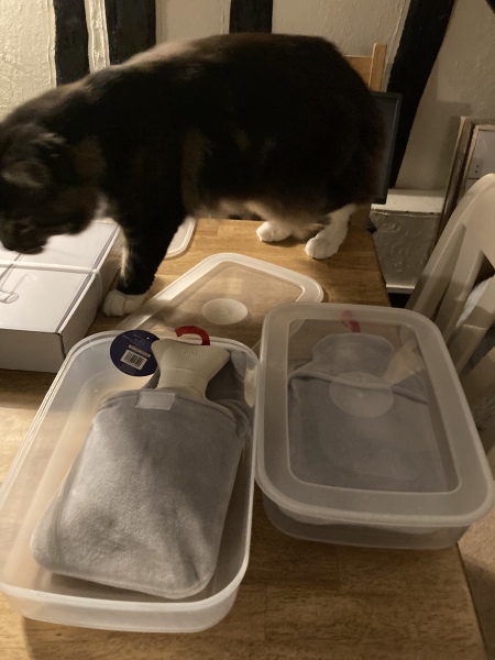 Come and tell me your dull and unexciting news 24: Calmly through the day 