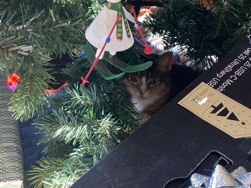 Come and tell me your dull and unexciting news 24: Calmly through the day 