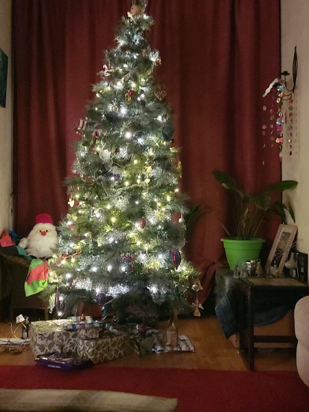 The 2022 Poncetastic Christmas Thread