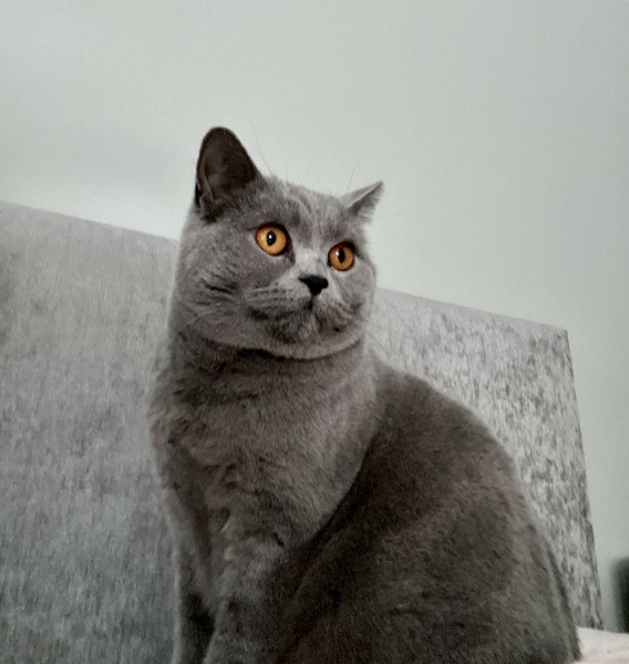 Thread 1 - Lifeboat Muster Point for TalkExiles