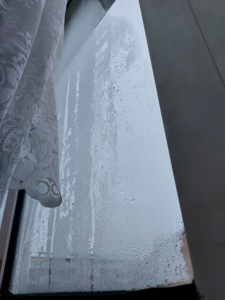 I woke up to ice inside the windows this morning