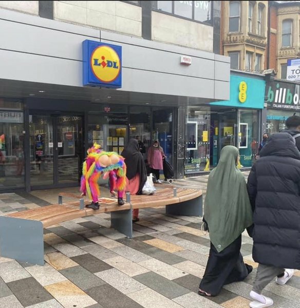 Police investigate 'flasher' gender recognition reform protester