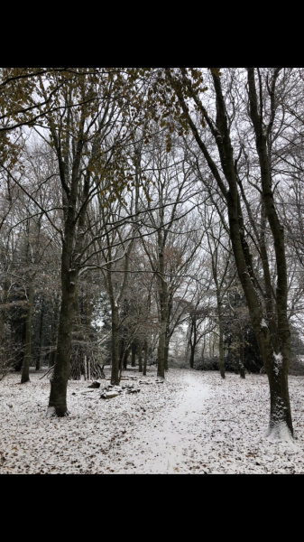 Is it snowing where you live?