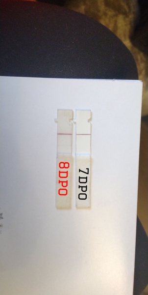 TTC after miscarriage Thread 14 🌈✨💕💙