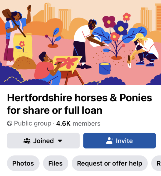 Where to advertise pony for share/loan?