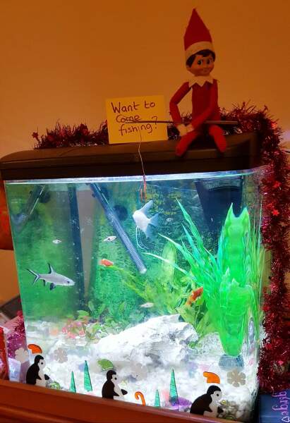A thread to share our Elf Pics