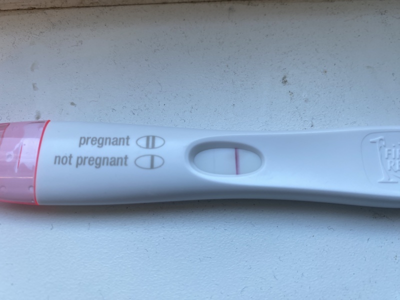 Please line eyes - FRER - 10DPO