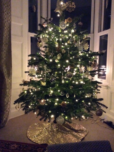 The Christmas Chronicles by Nigel Slater. Read Along Thread 2022 PART 2
