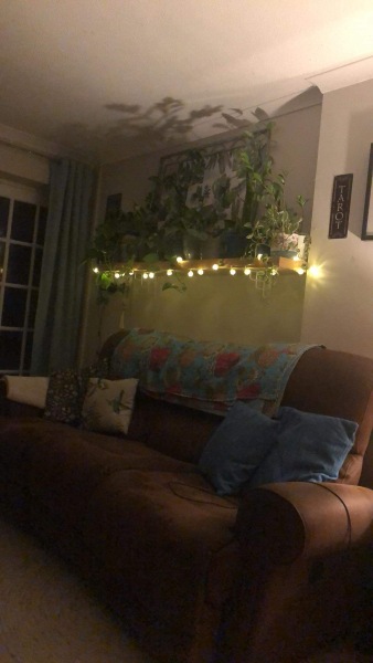 Please can we have a thread to show pictures of our favourite things in our houses?  