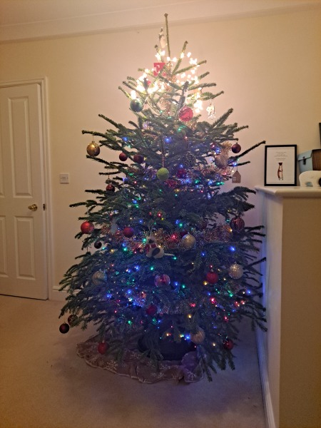 Show me your Christmas tree / decorations please. In need of inspiration