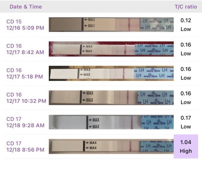 All I want for Christmas is a BFP- TTC September baby 🍁