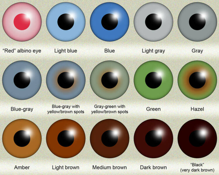 So what colour are my eyes??