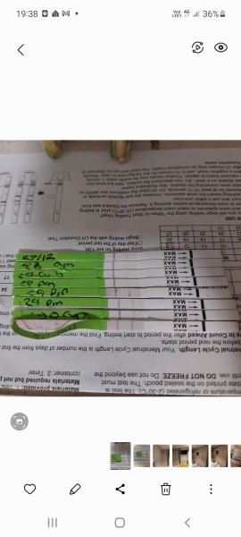 Are these positive ovulation tests??