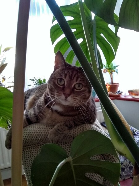 Lifeboat Muster Point for TalkExiles - Thread 2