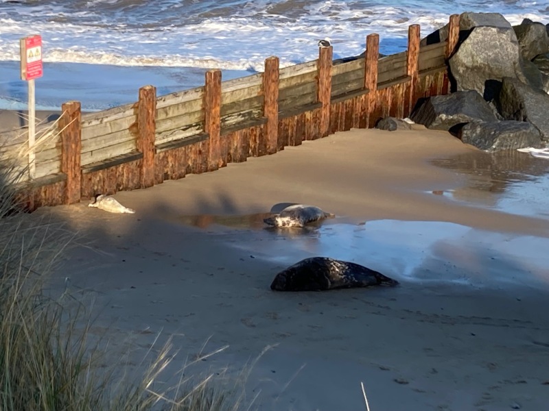 Come and tell me your dull and unexciting news 24: Calmly through the day 