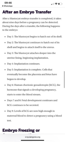 IVF Oct/Nov