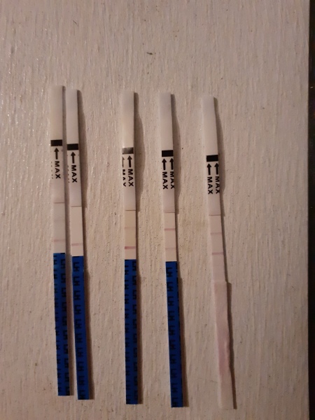 Trying to conceive after a miscarriage 
