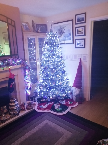 Show me your Christmas tree / decorations please. In need of inspiration