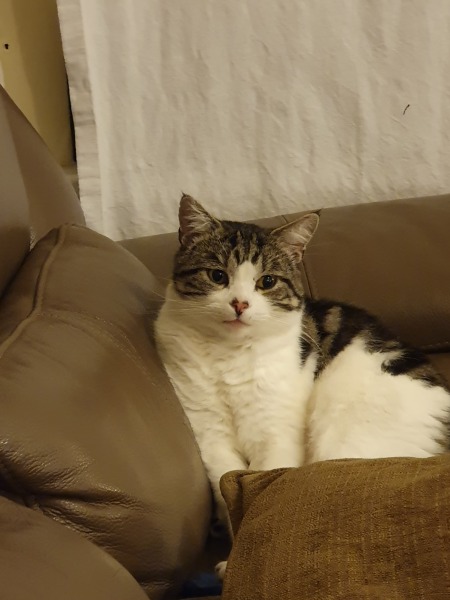 Lifeboat Muster Point for TalkExiles - Thread 2