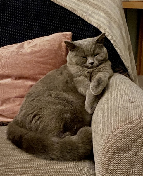 Lifeboat Muster Point for TalkExiles - Thread 2