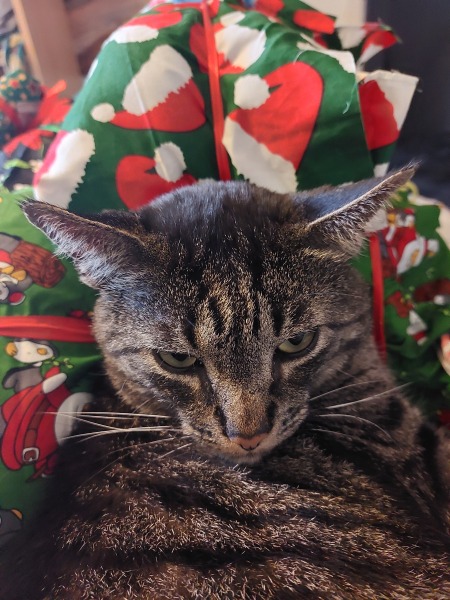 Thread 20 Sunak and the Winter of Discontent 