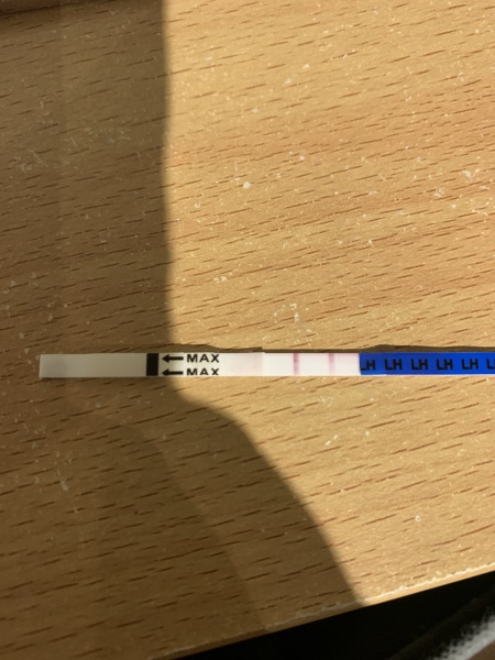 TTC after miscarriage Thread 14 🌈✨💕💙