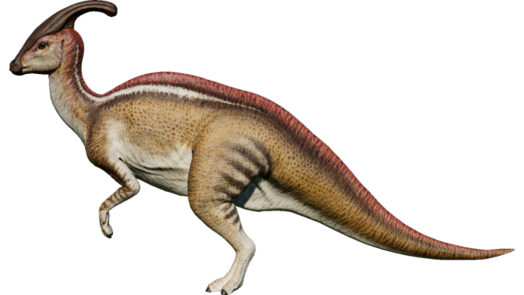 Impossible gift from FC - a parasaurolophus costume
