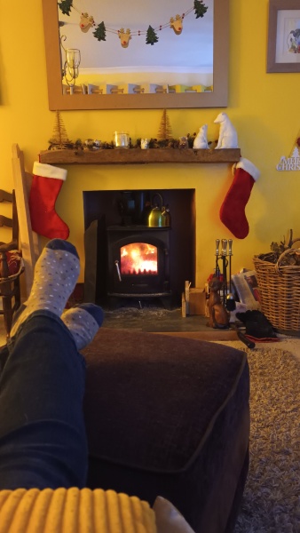 Can we please see pictures of your fireplaces and log burners ?
