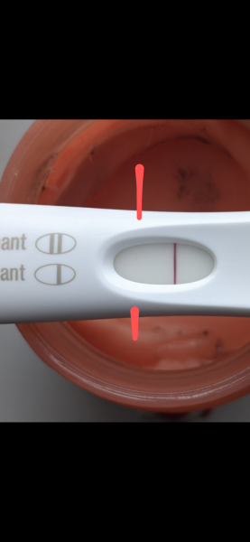 TTC 15 DPO Three Faint Positives? Could they be evaporation lines? Help Please!