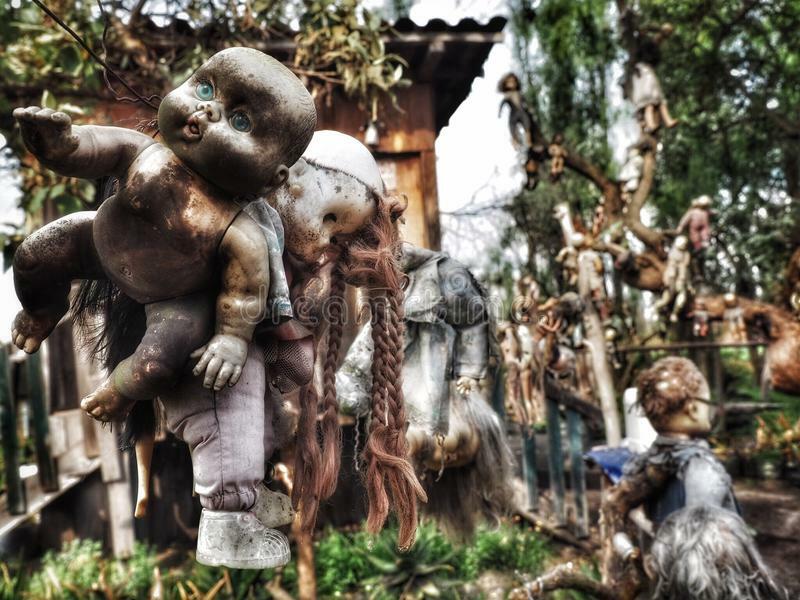 Weird dolls hanging on neighbours tree?