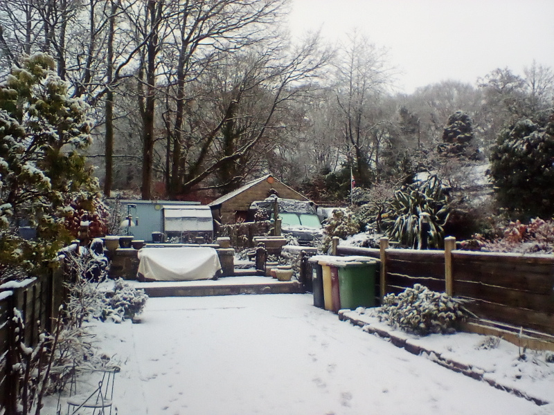 Is it snowing where you live?