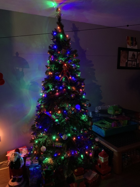 Show me your Christmas tree / decorations please. In need of inspiration