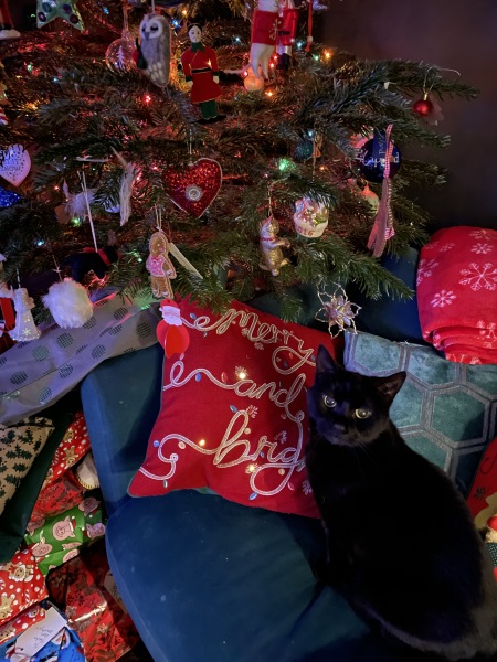 Show me your present pile